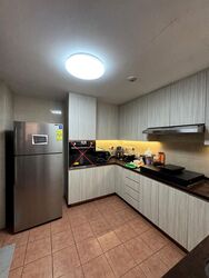 Twin Heights (D12), Apartment #543482311